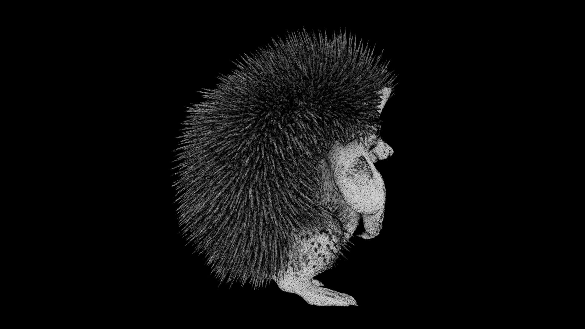 Toy - Herculean Hedgehog 3D Model