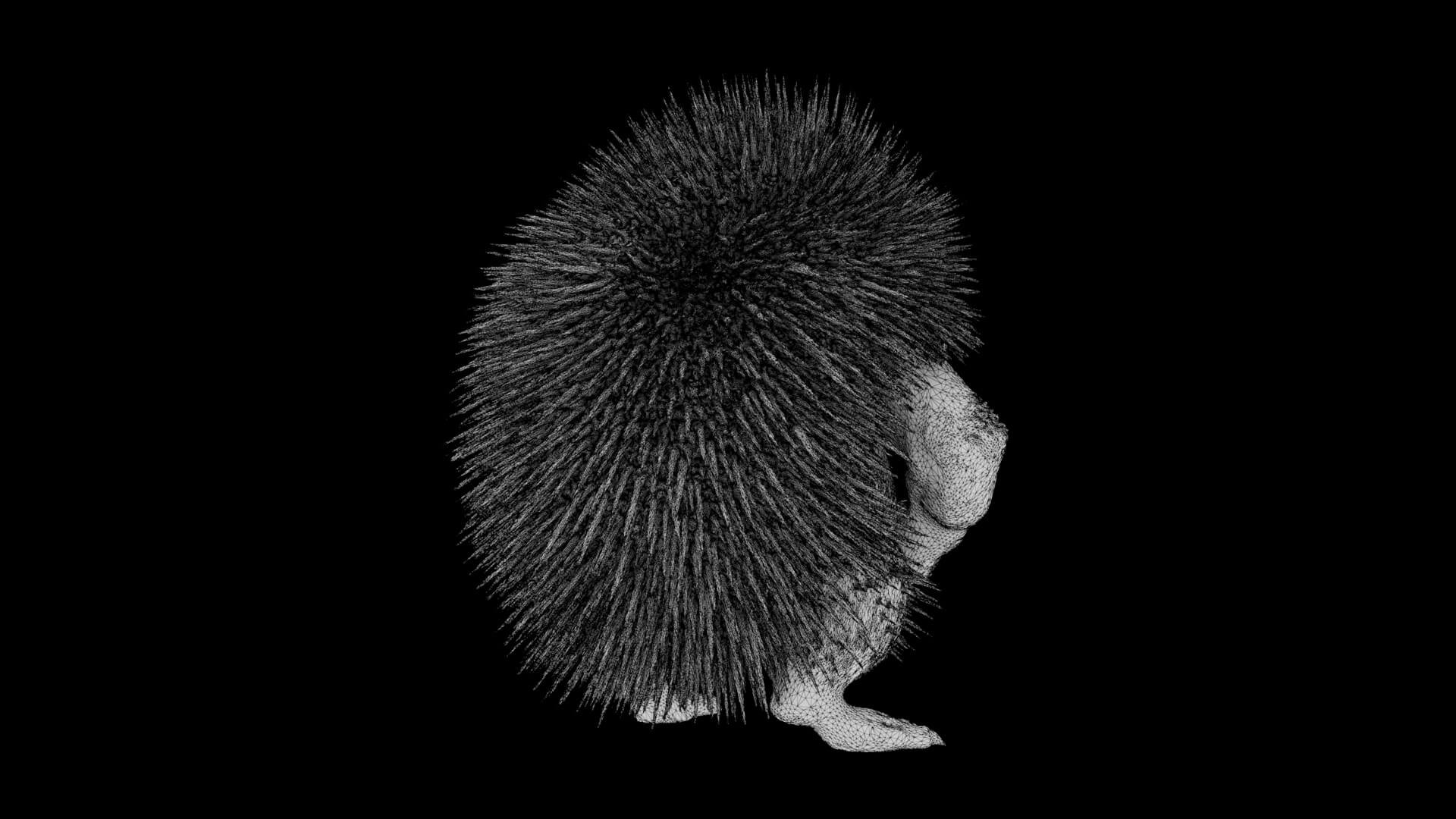 Toy - Herculean Hedgehog 3D Model