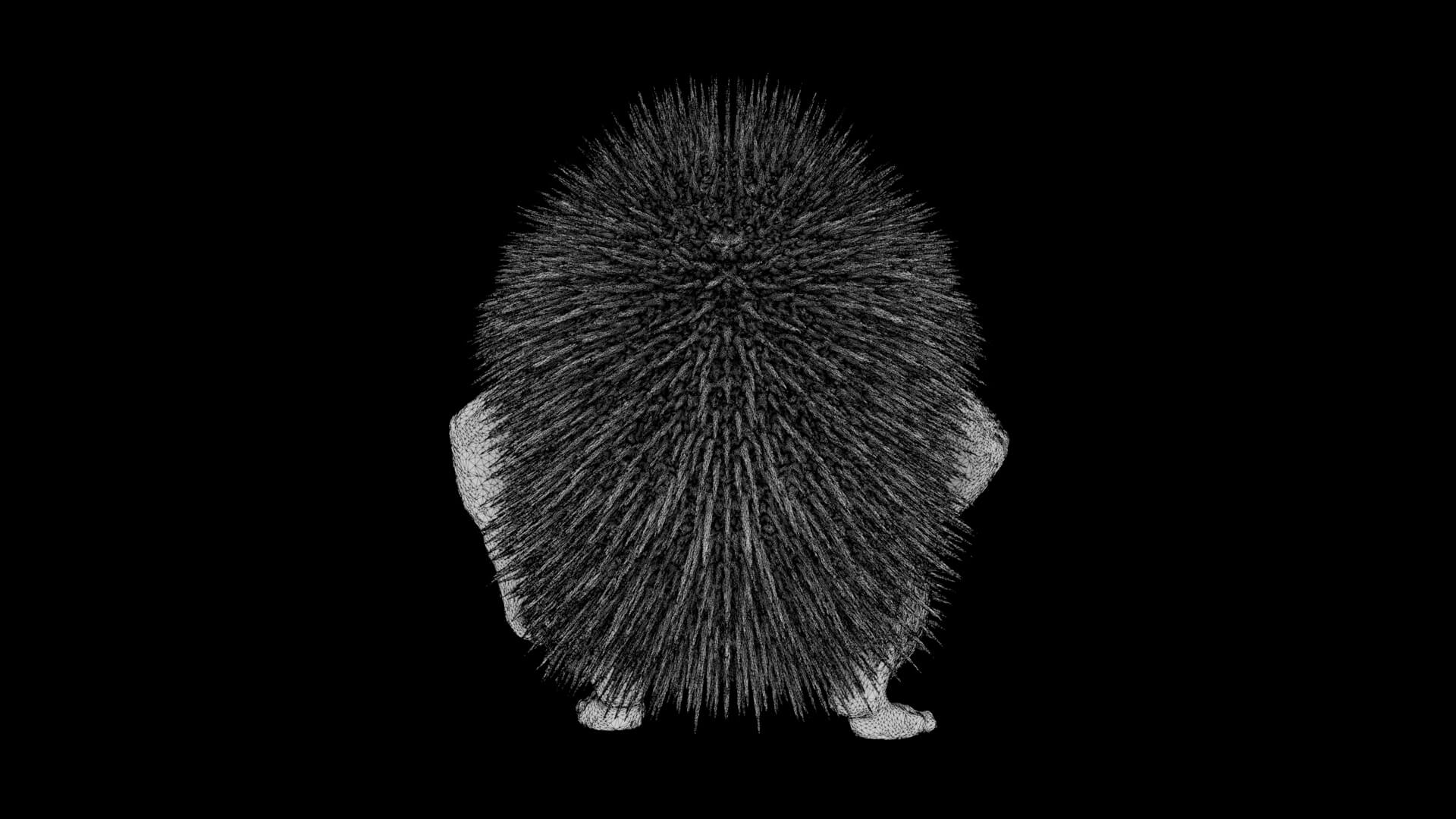 Toy - Herculean Hedgehog 3D Model