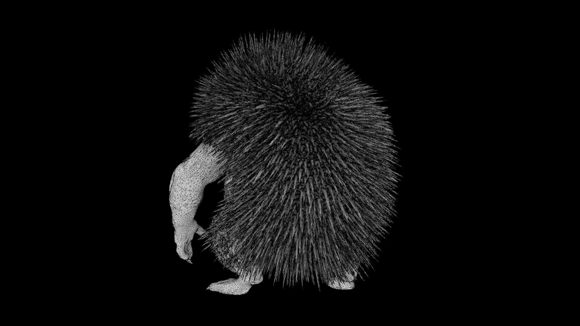 Toy - Herculean Hedgehog 3D Model