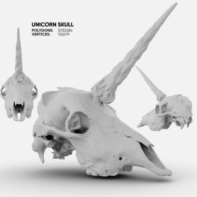 Unicorn Skull 3D Model