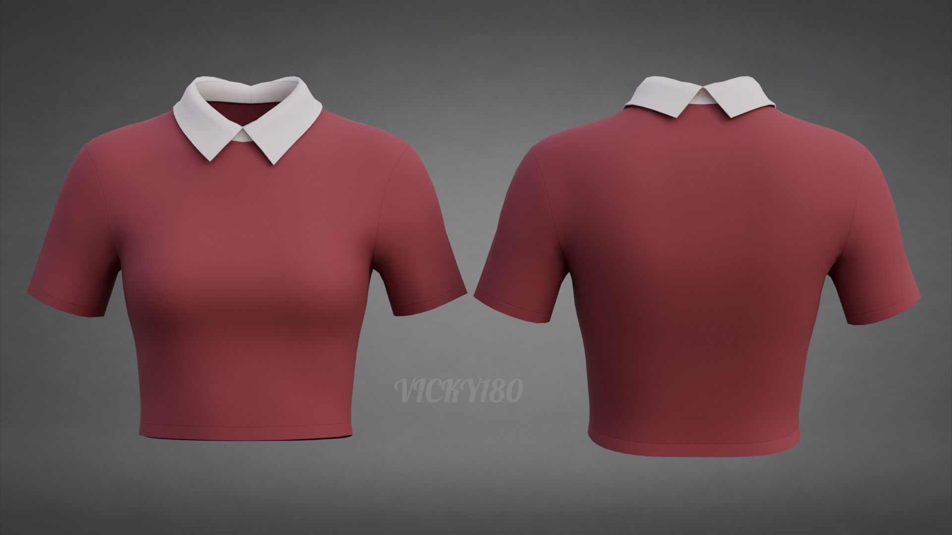 Collared Crop Top Two-Tone Polo Shirt 3D Model