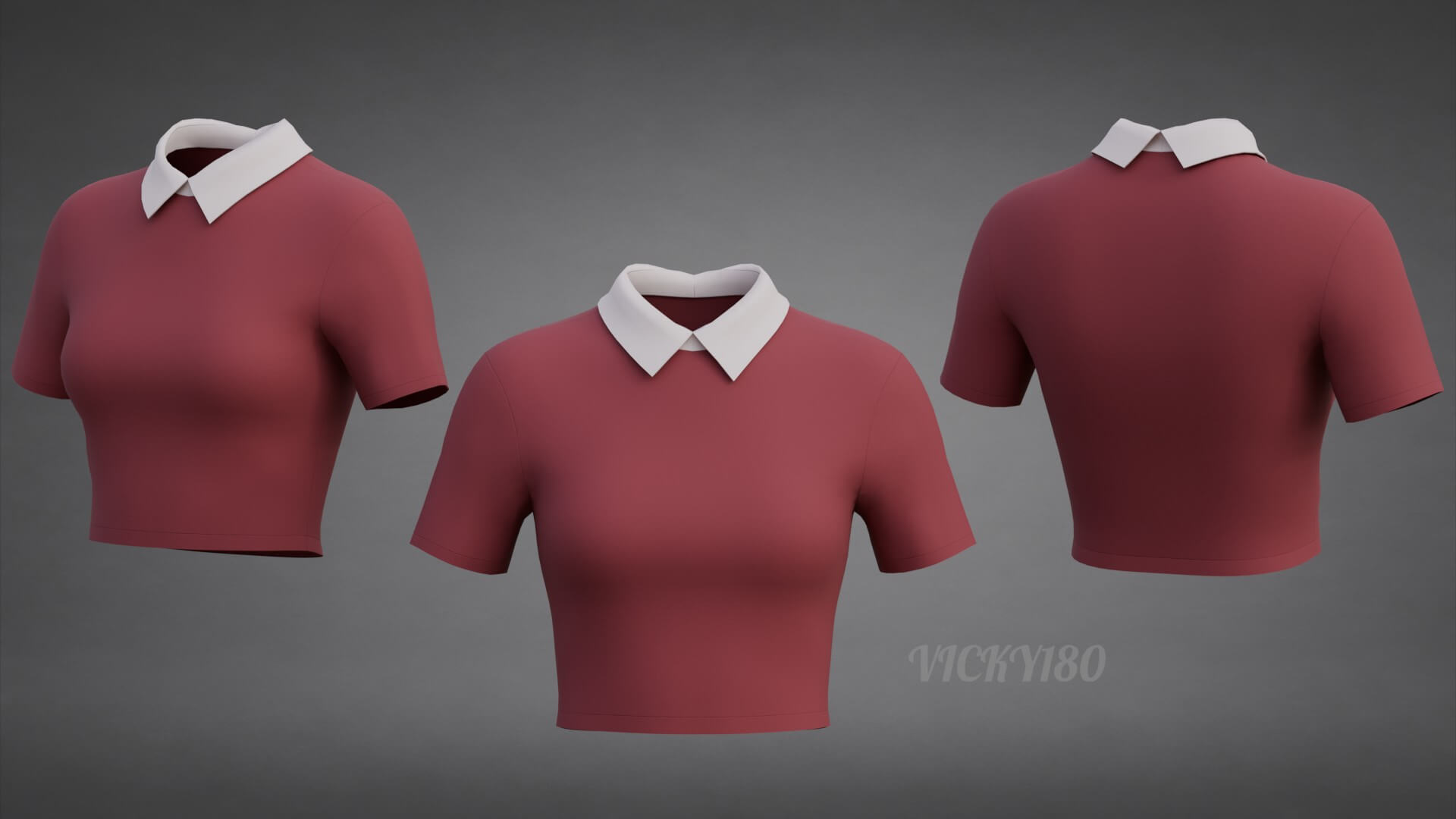 Collared Crop Top Two-Tone Polo Shirt 3D Model