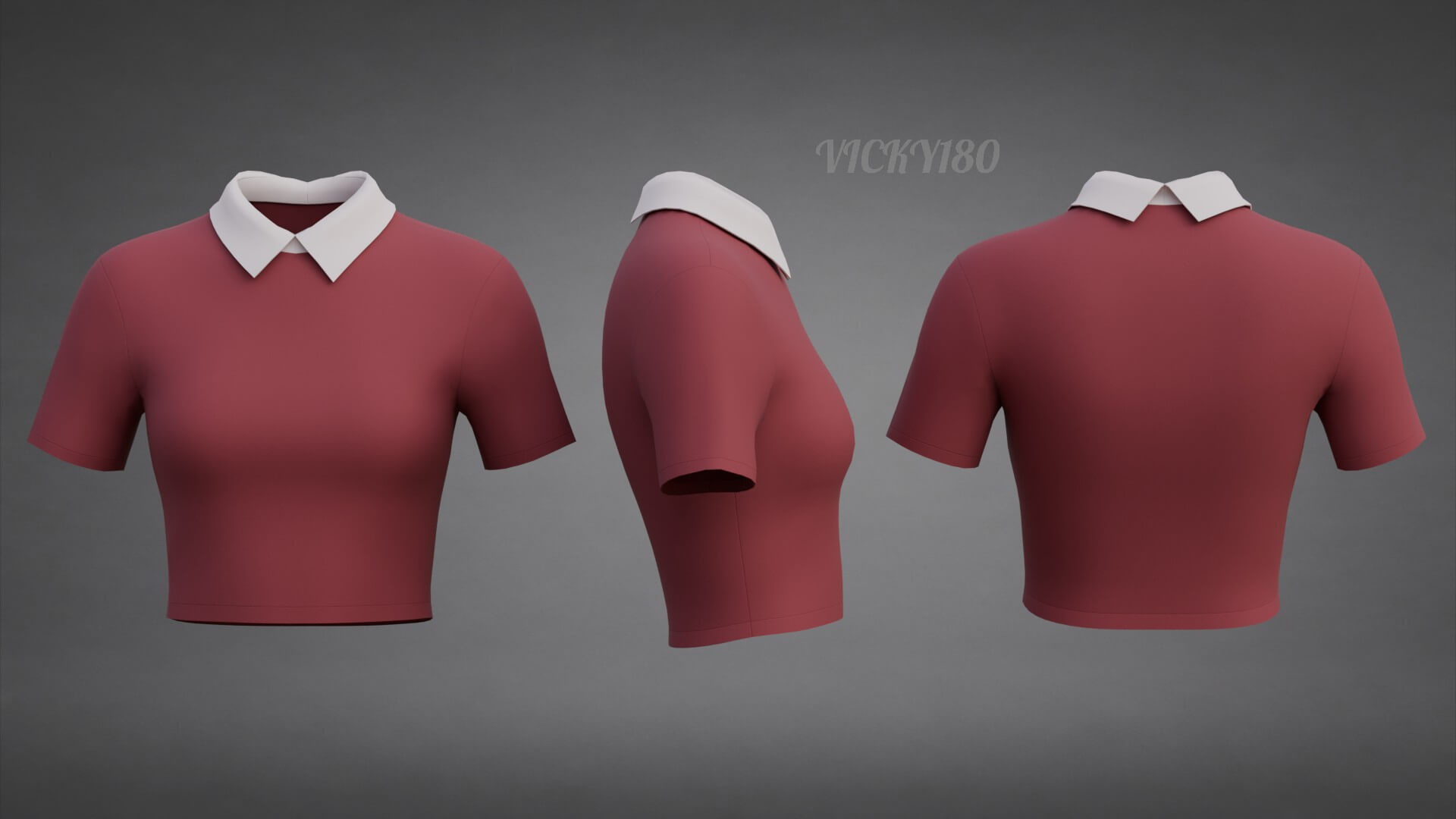 Collared Crop Top Two-Tone Polo Shirt 3D Model
