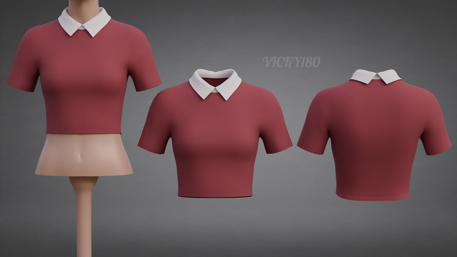 Collared Crop Top Two-Tone Polo Shirt 3D Model
