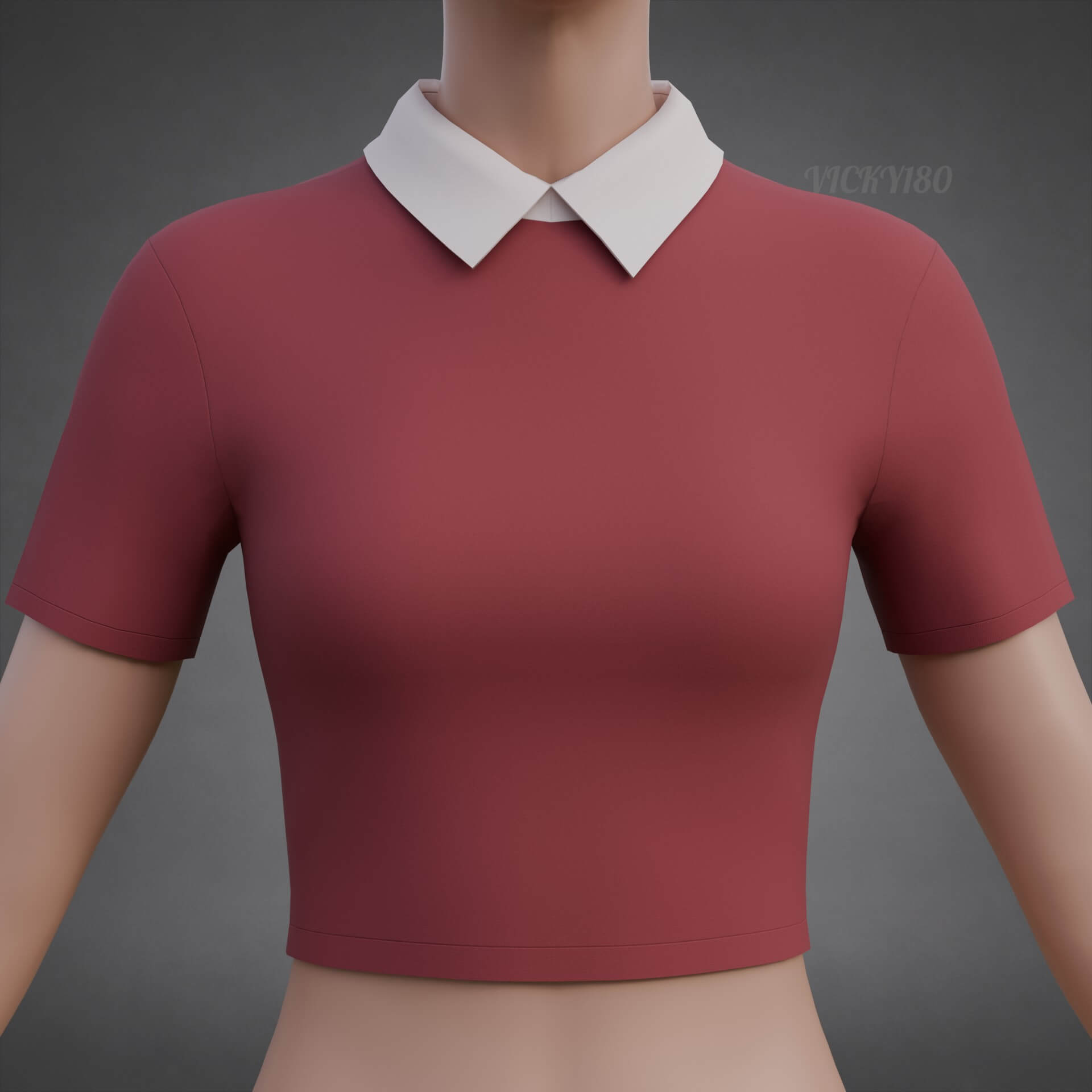Collared Crop Top Two-Tone Polo Shirt 3D Model