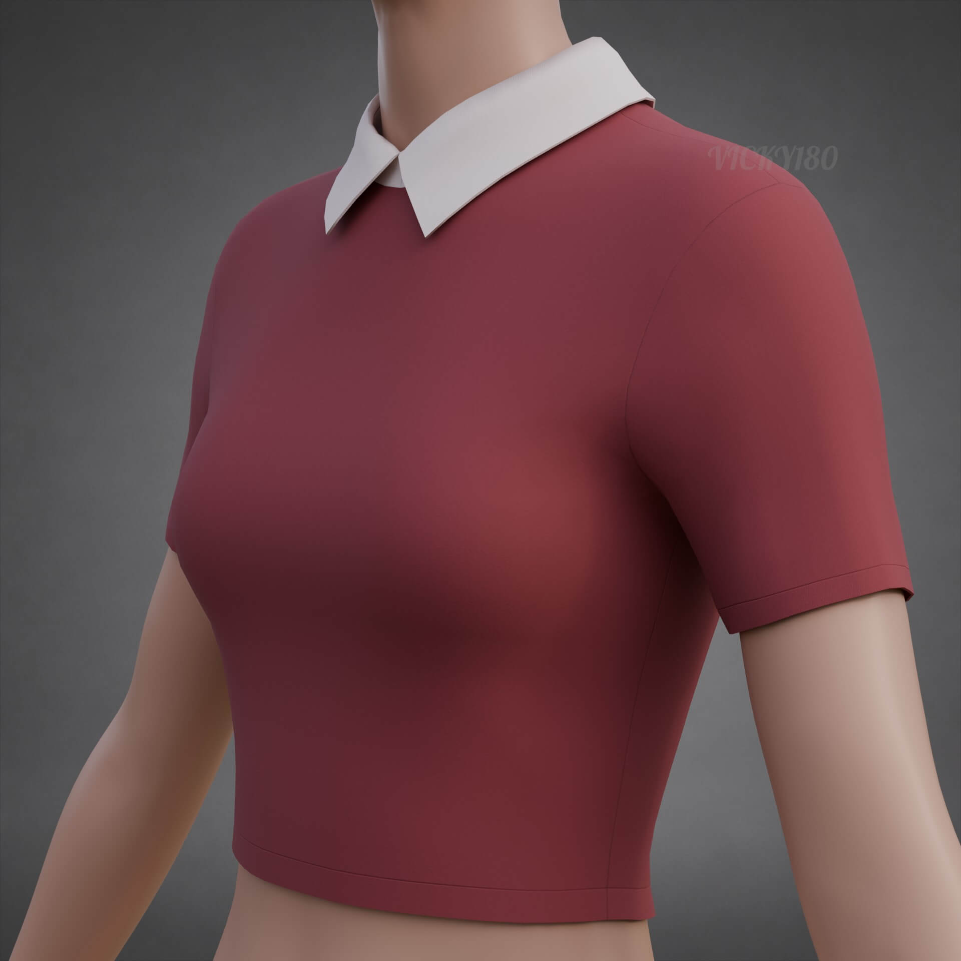 Collared Crop Top Two-Tone Polo Shirt 3D Model