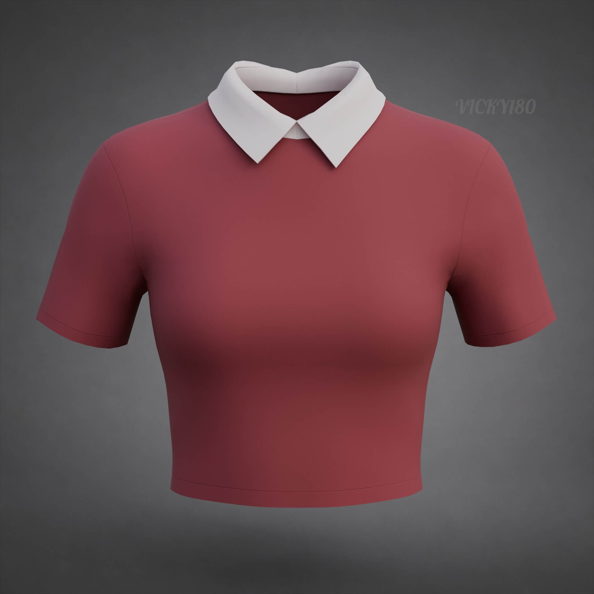 Collared Crop Top Two-Tone Polo Shirt 3D Model