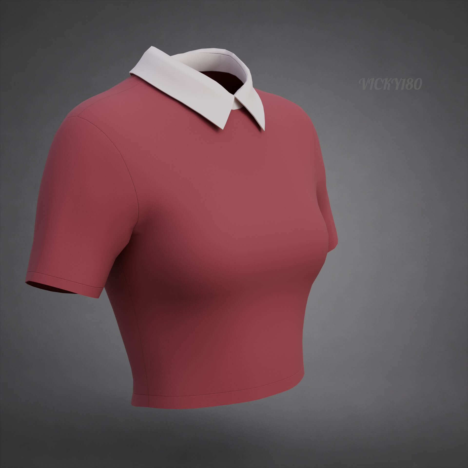 Collared Crop Top Two-Tone Polo Shirt 3D Model