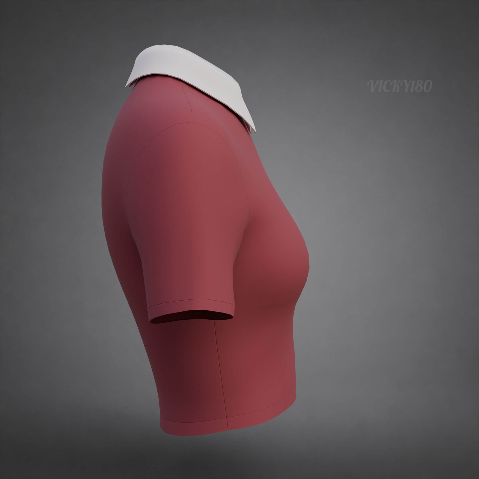 Collared Crop Top Two-Tone Polo Shirt 3D Model