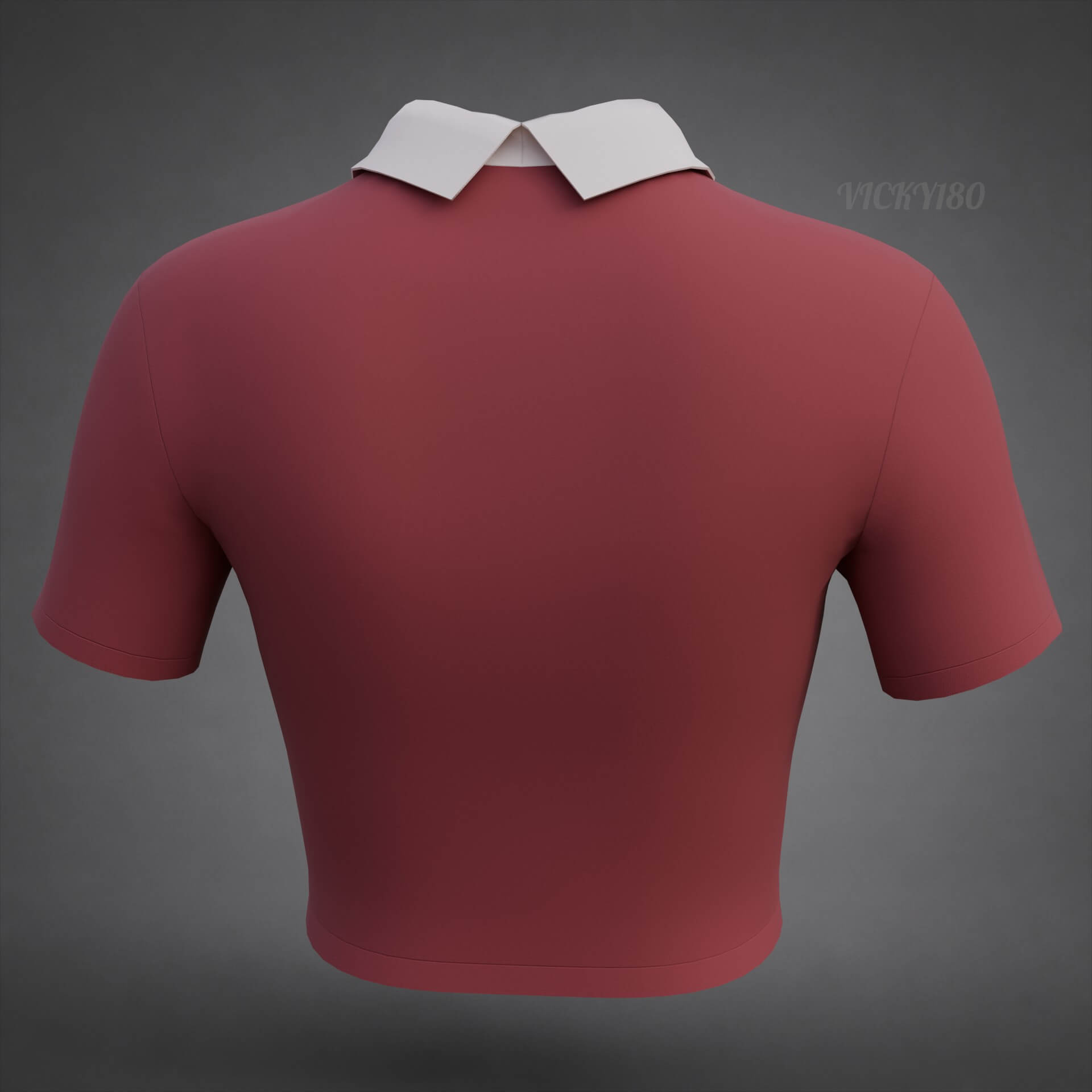Collared Crop Top Two-Tone Polo Shirt 3D Model