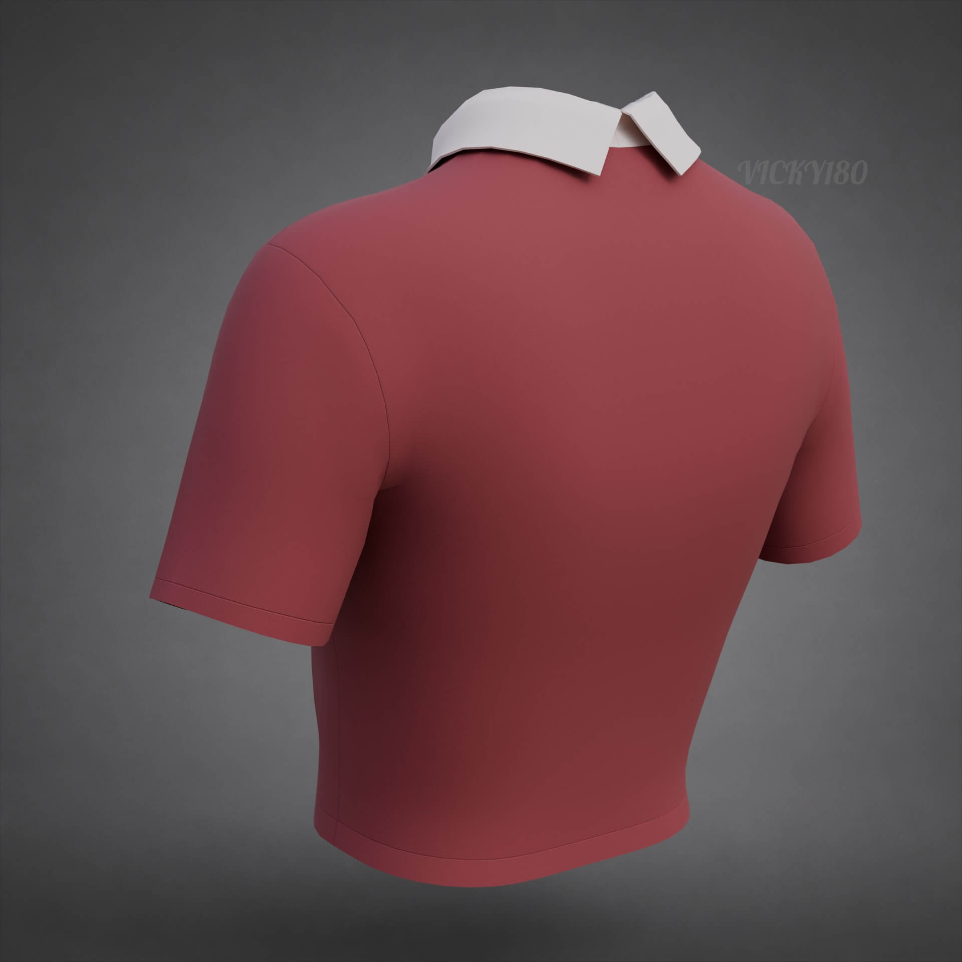 Collared Crop Top Two-Tone Polo Shirt 3D Model