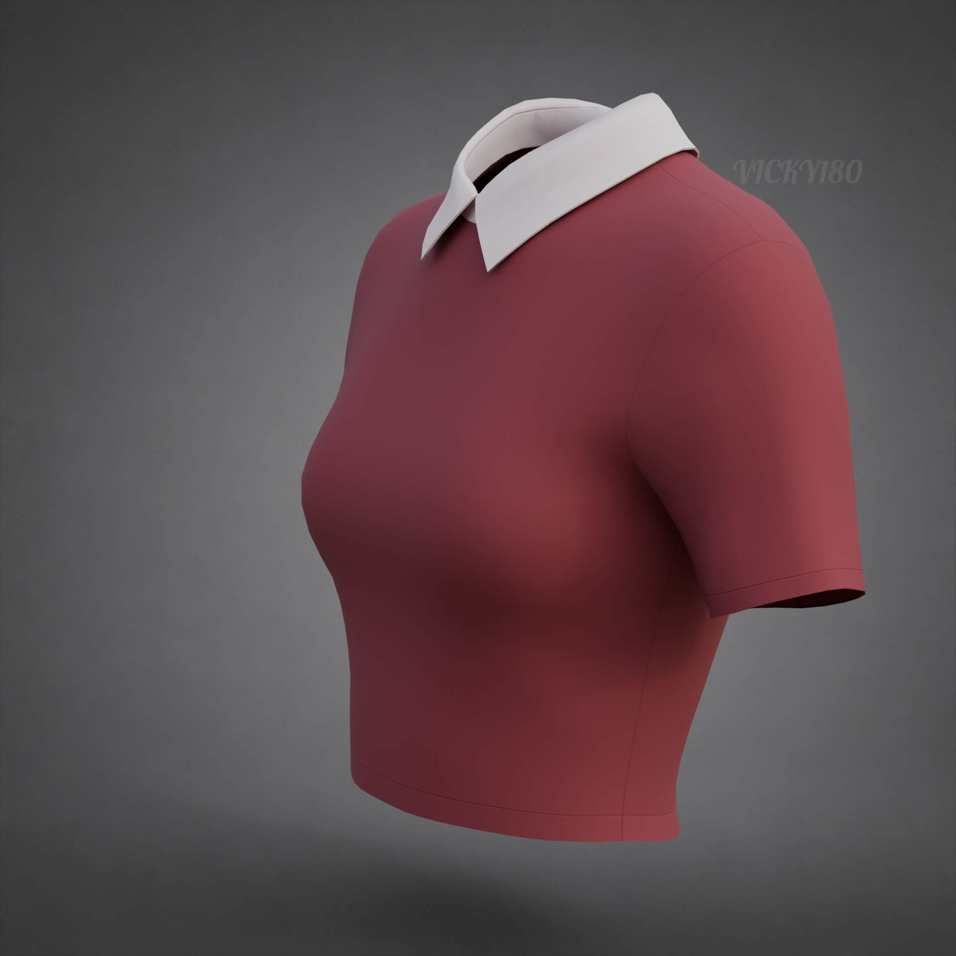Collared Crop Top Two-Tone Polo Shirt 3D Model