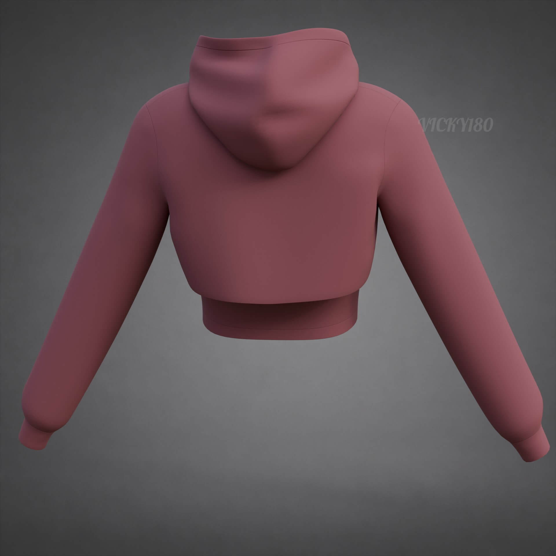 Cropped Hoodie Sweatshirt & Tank Top - Female Sweater 3D Model