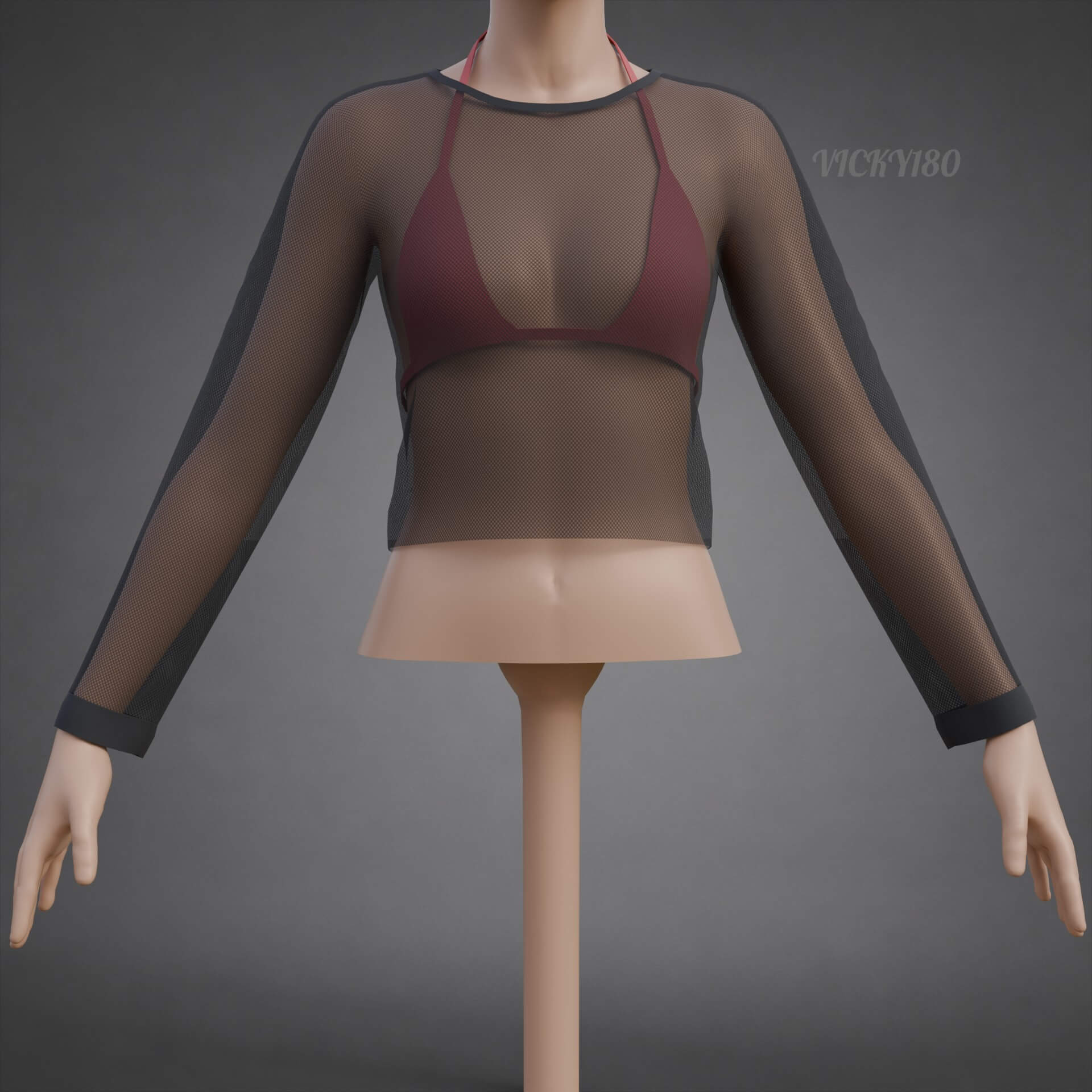 Mesh Fishnet Crop Top and Bikini Bra Clothing 3D Model