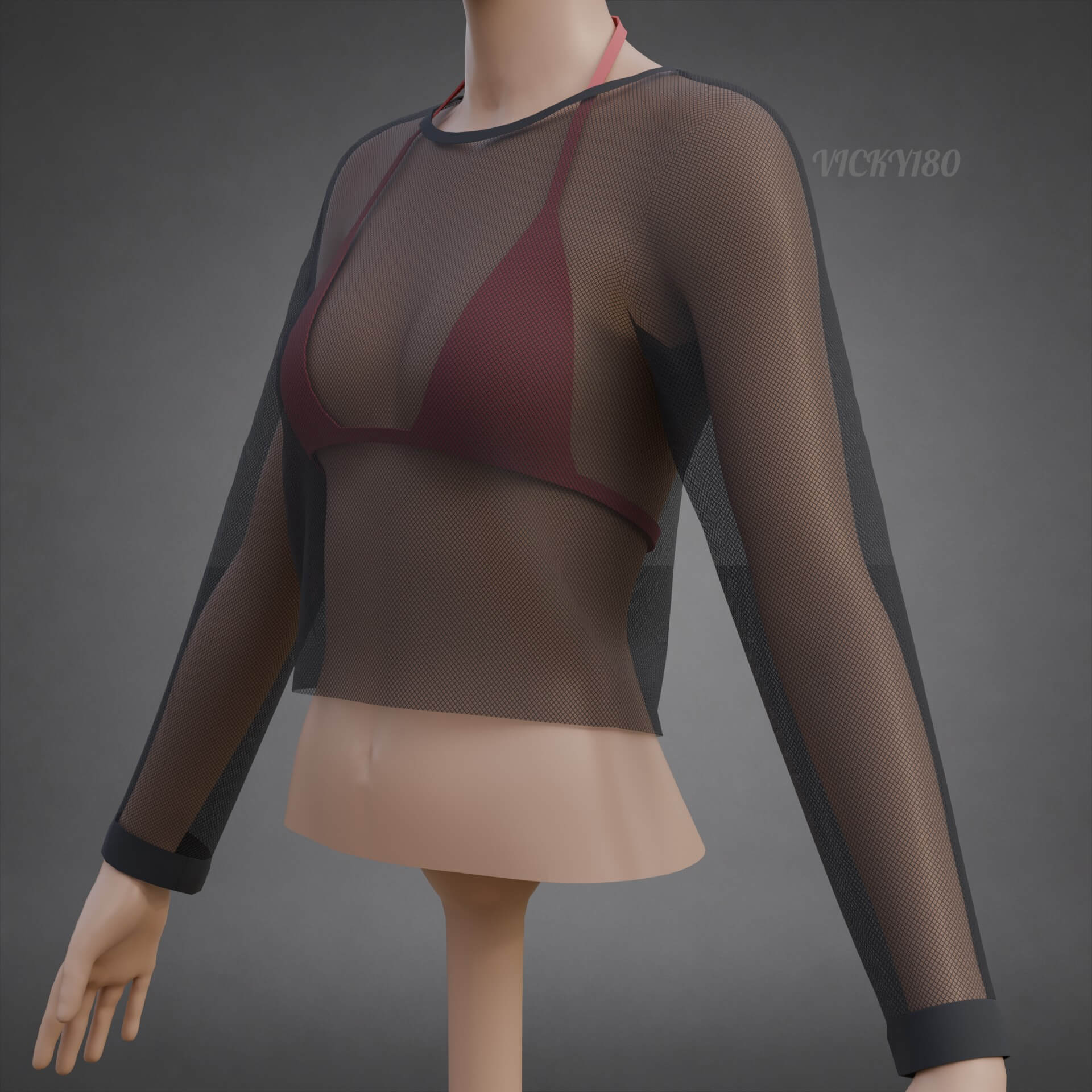 Mesh Fishnet Crop Top and Bikini Bra Clothing 3D Model
