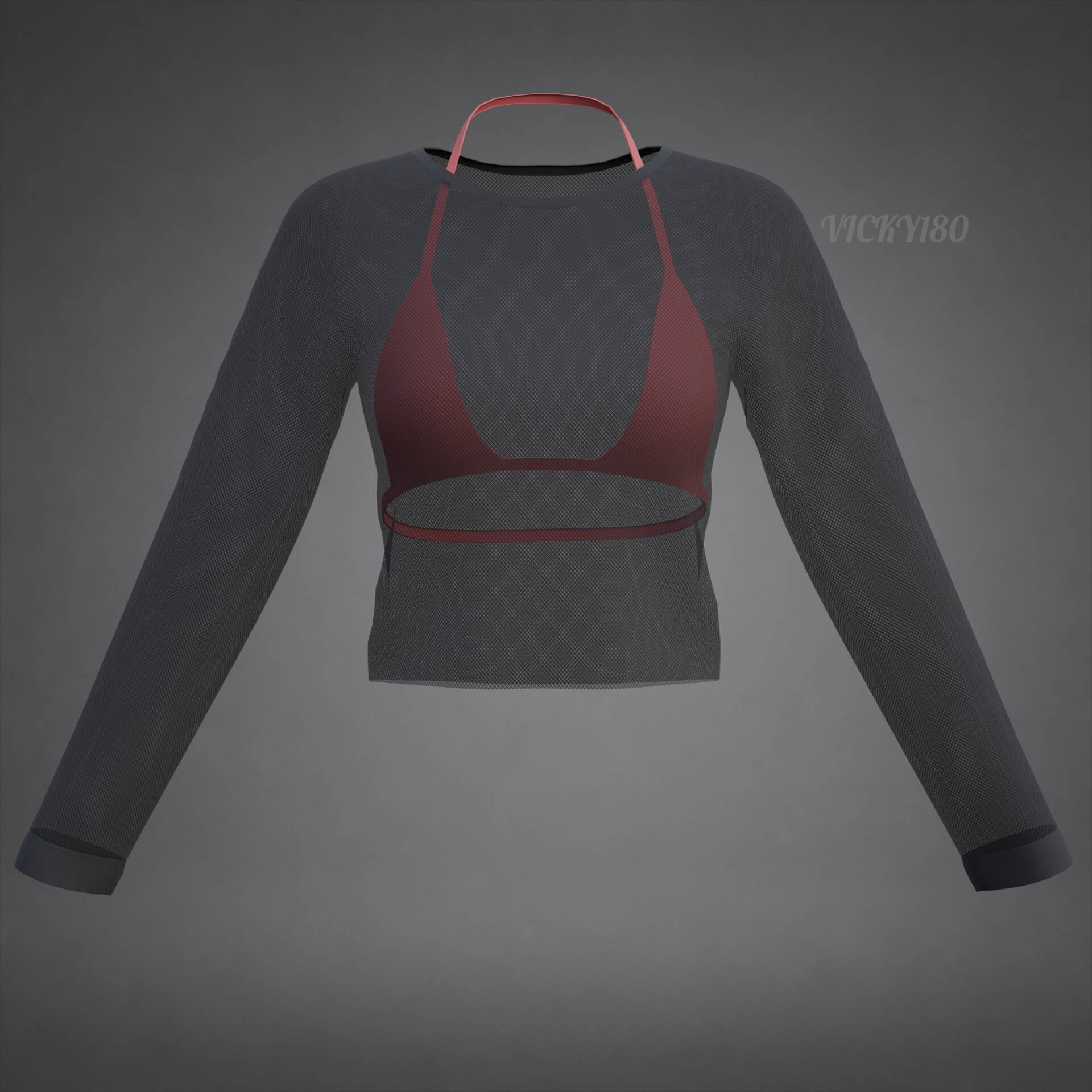 Mesh Fishnet Crop Top and Bikini Bra Clothing 3D Model