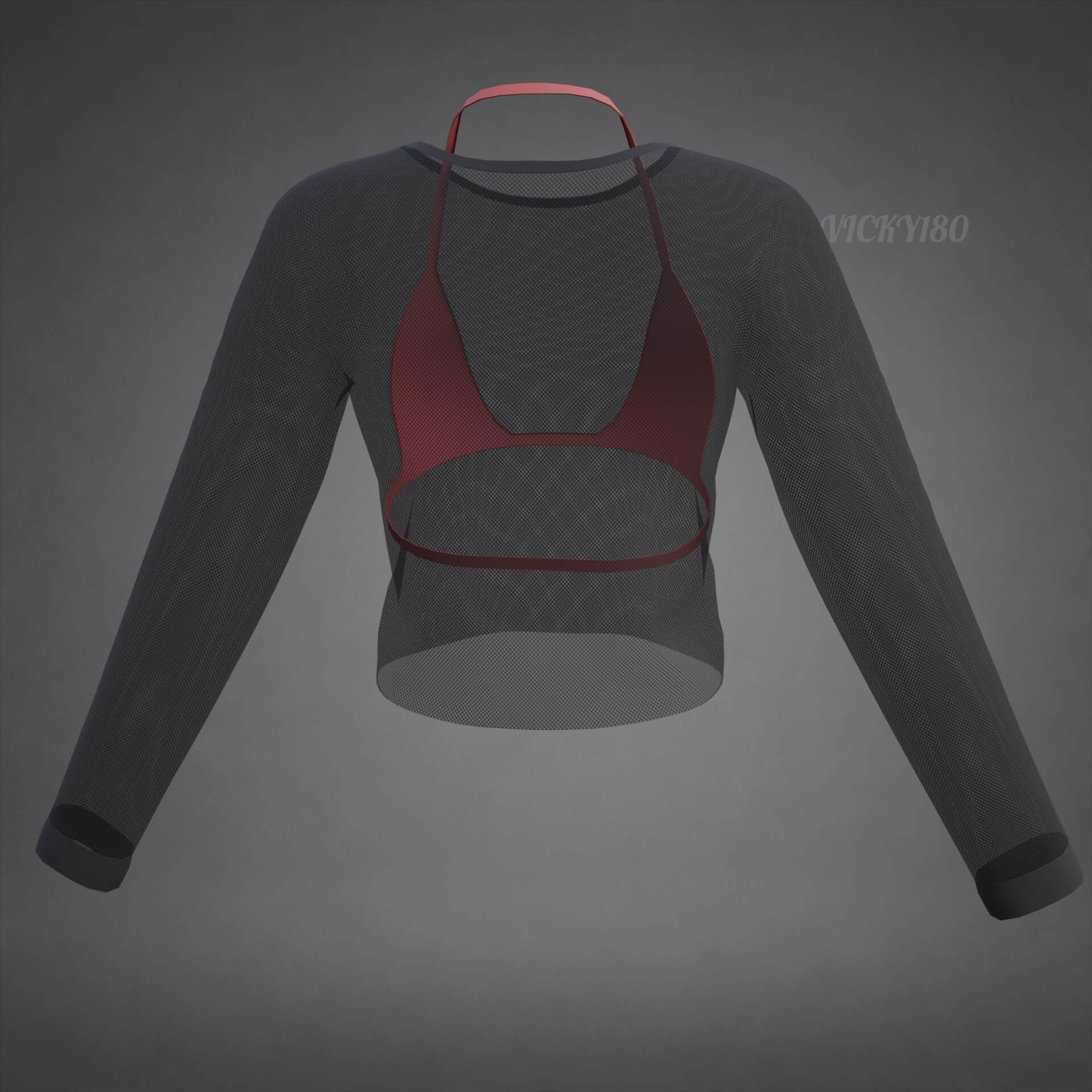 Mesh Fishnet Crop Top and Bikini Bra Clothing 3D Model