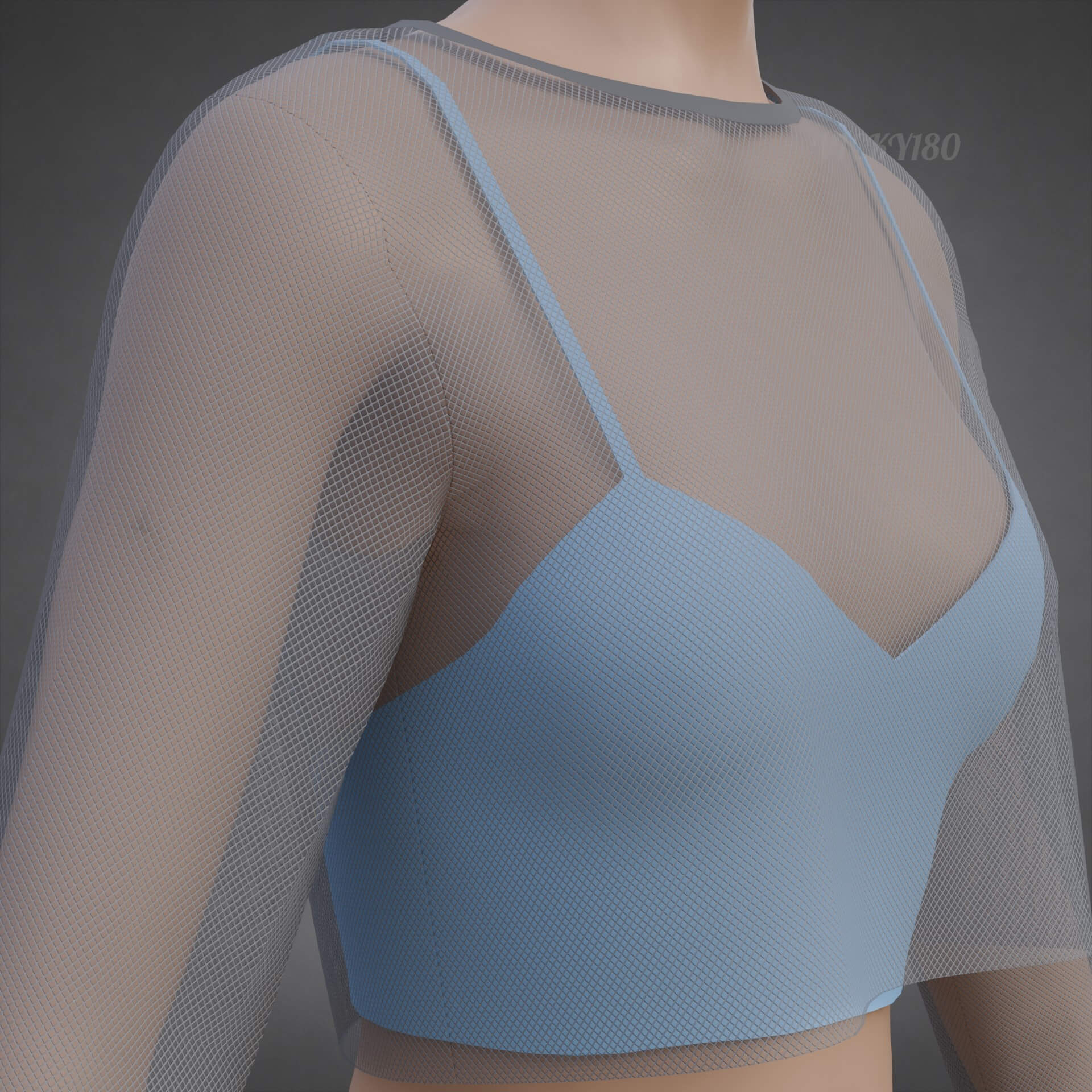 Two-Tone Mesh Crop Top &amp Cami Tank Top Sheer Clothing 3D Model
