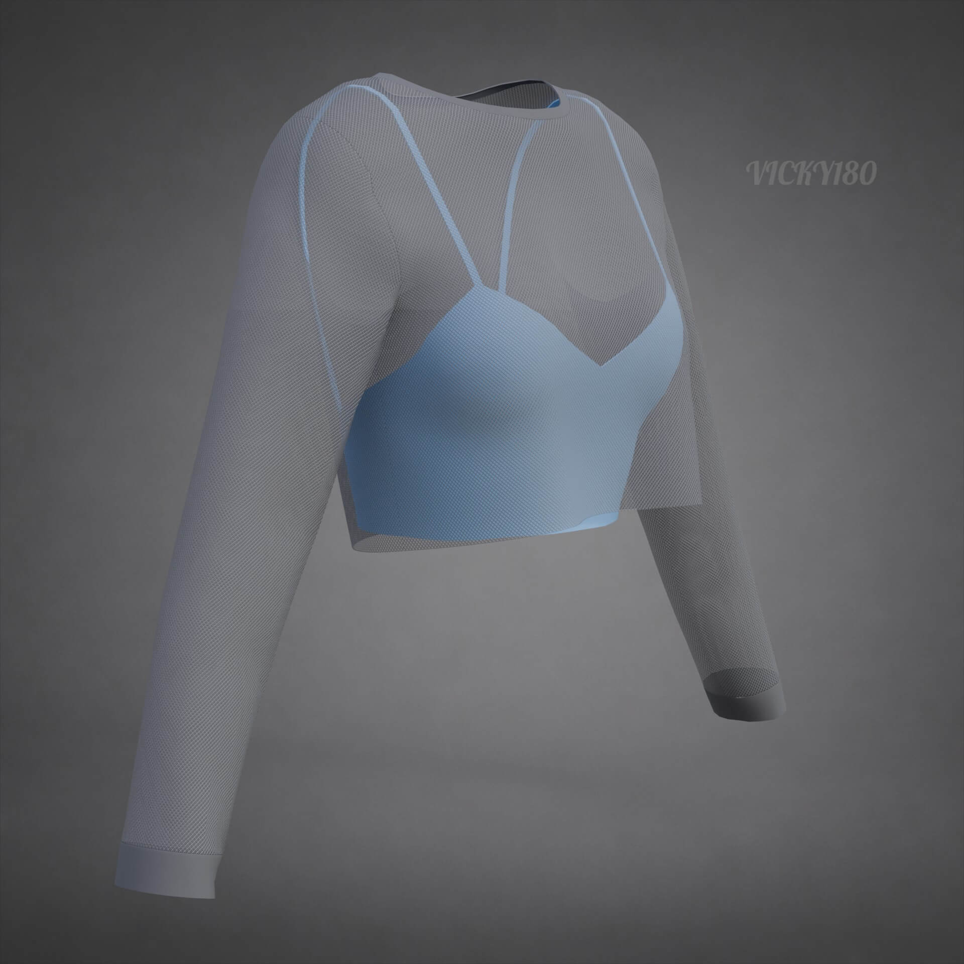 Two-Tone Mesh Crop Top & Cami Tank Top Sheer Clothing 3D Model