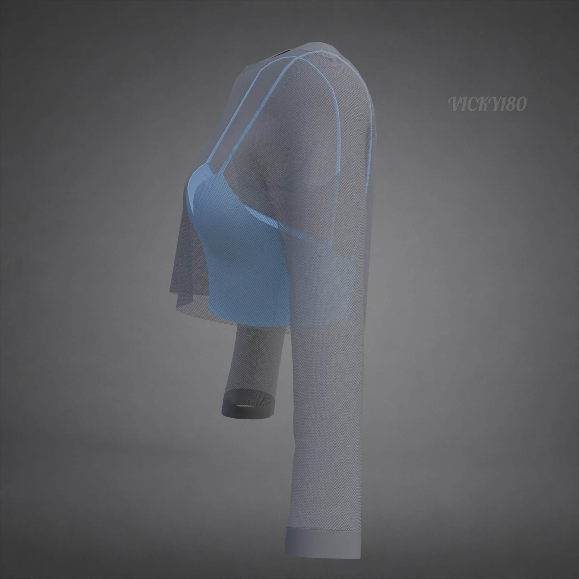 Two-Tone Mesh Crop Top & Cami Tank Top Sheer Clothing 3D Model