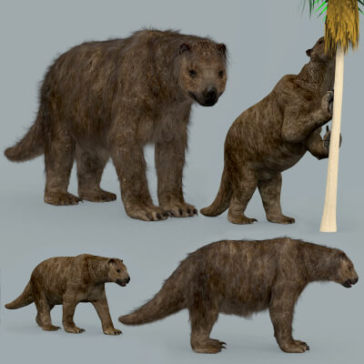 Megatherium Eremotherium - Giant Ground Sloth - HD 3D Model