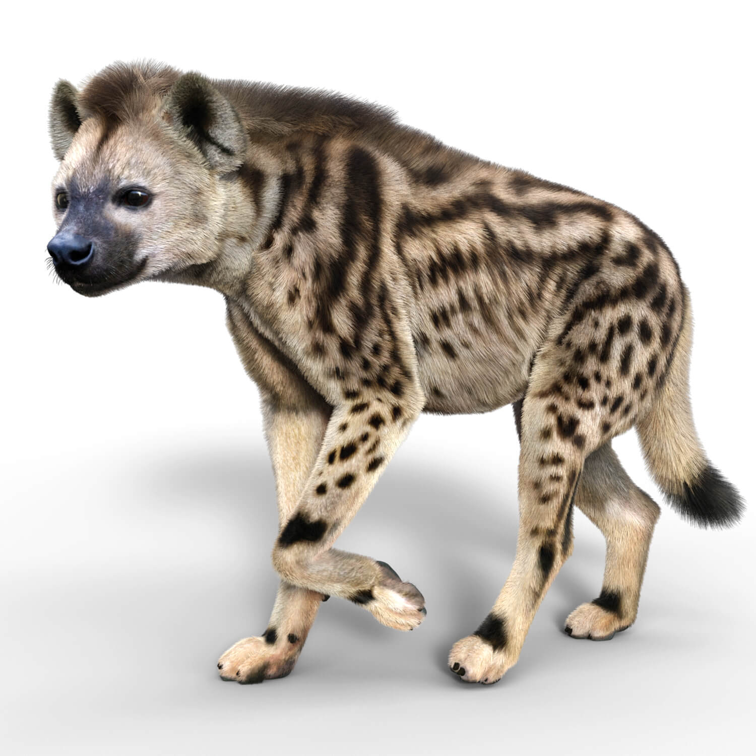 Vyu Hyena Spotted Daz Content