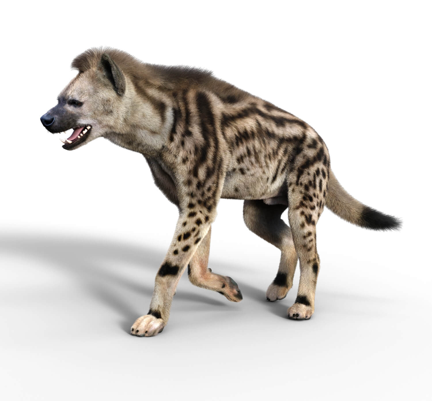 Vyu Hyena Spotted Daz Content