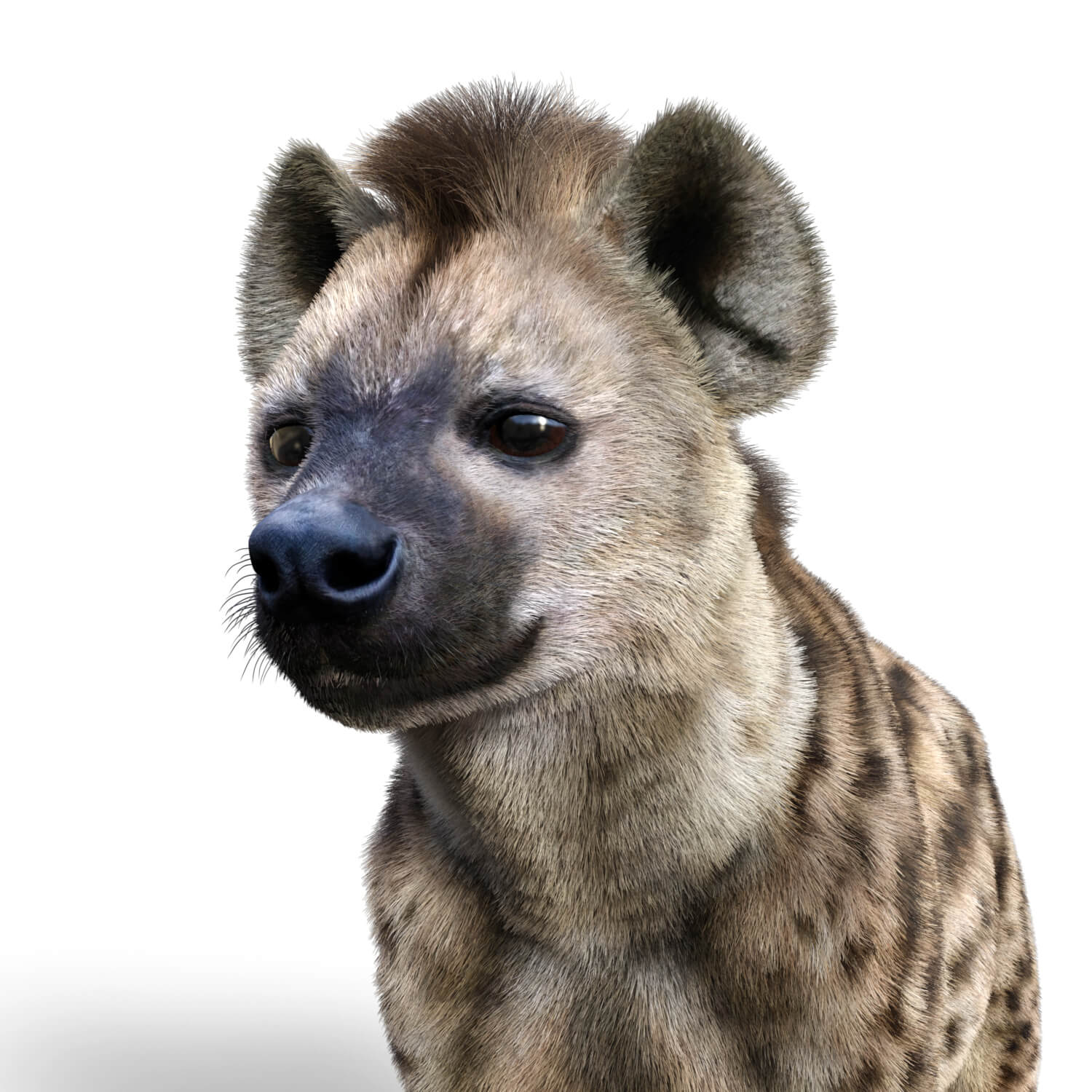 Vyu Hyena Spotted Daz Content