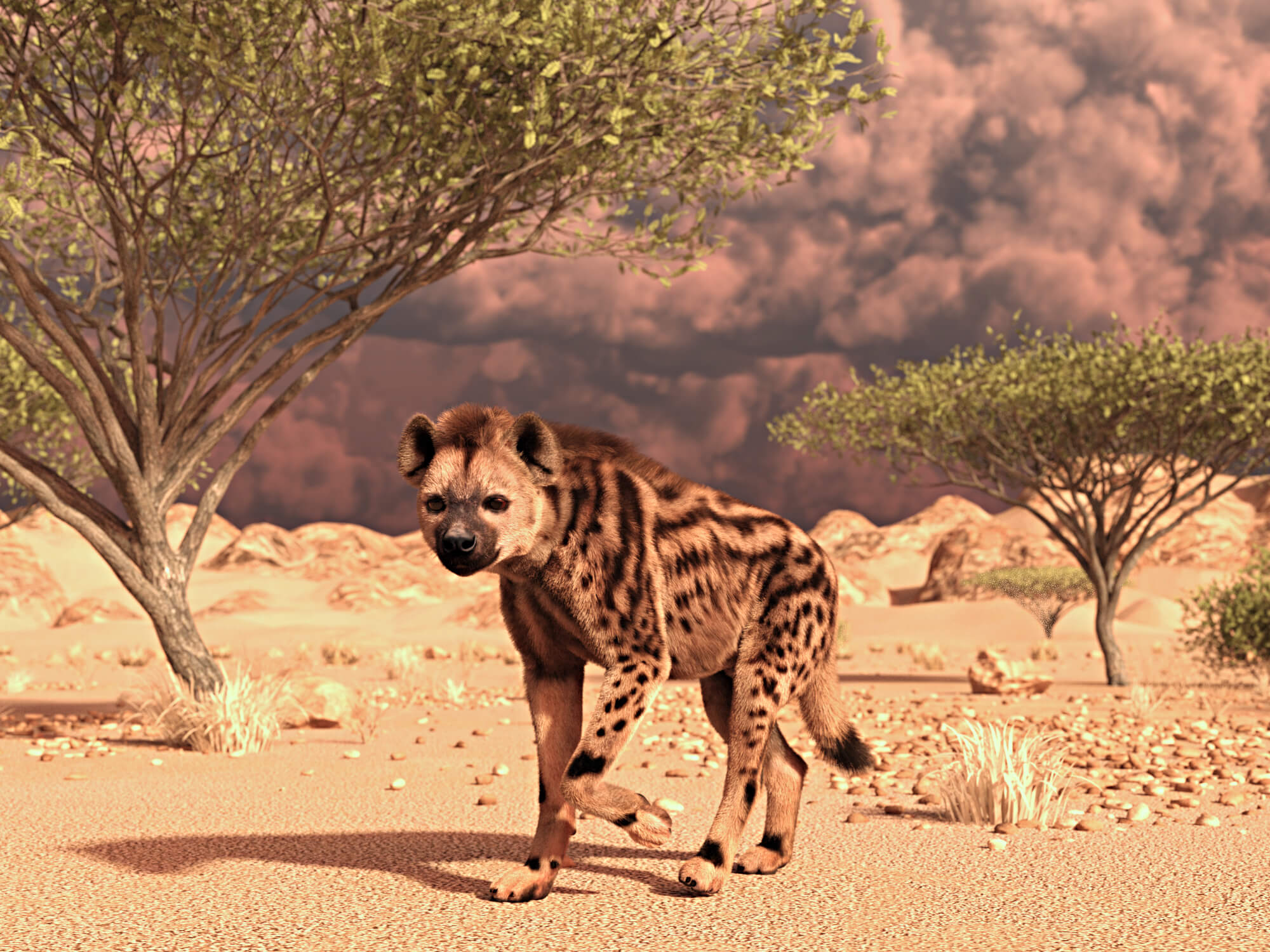 Vyu Hyena Spotted Daz Content