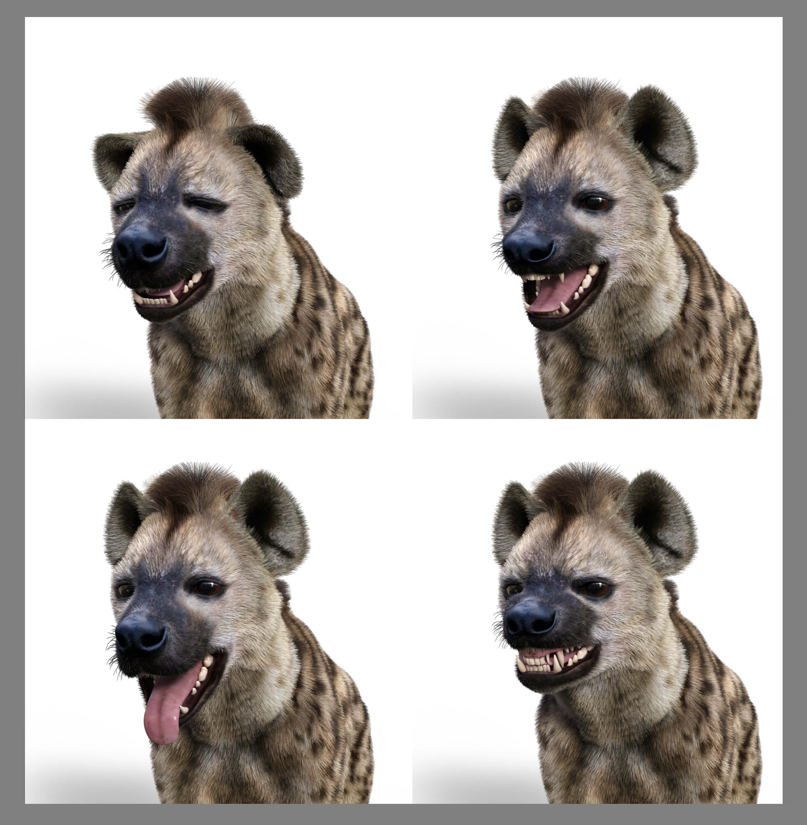 Vyu Hyena Spotted Daz Content