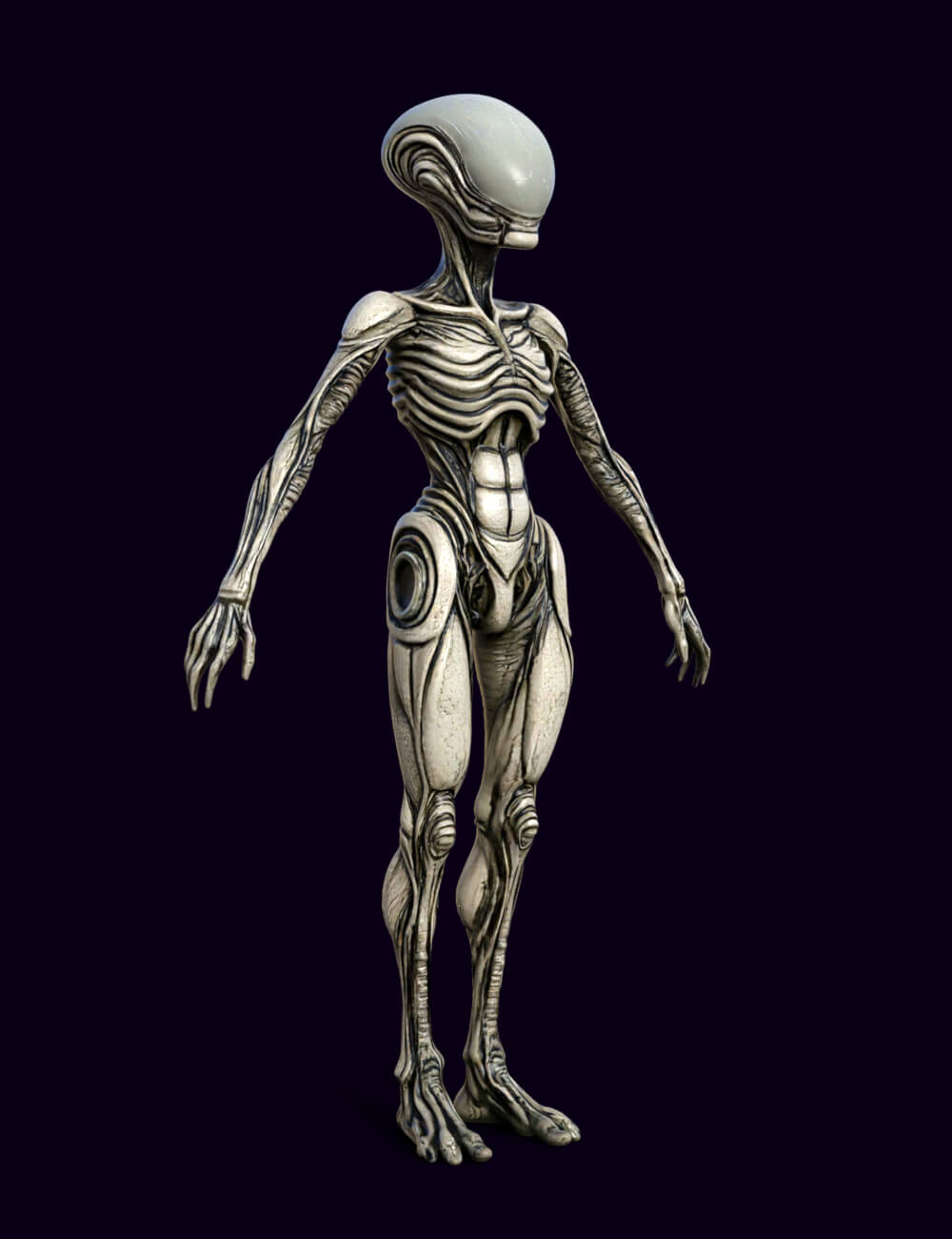 Xenovel the Alien 3D Model