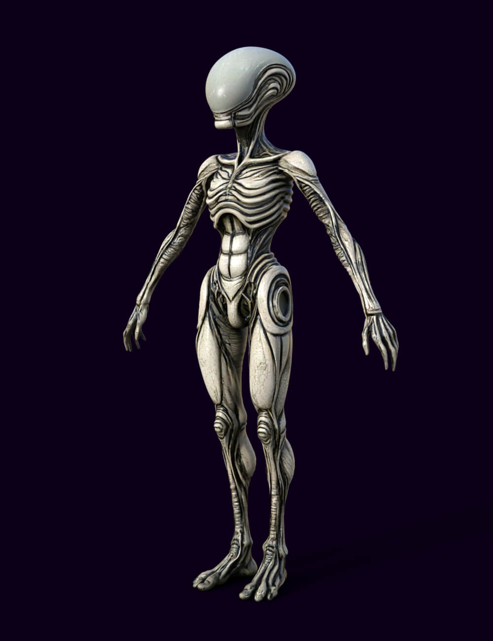 Xenovel the Alien 3D Model