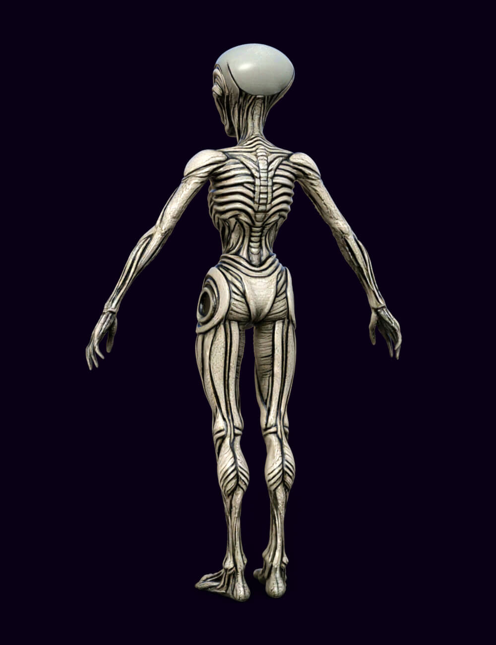 Xenovel the Alien 3D Model