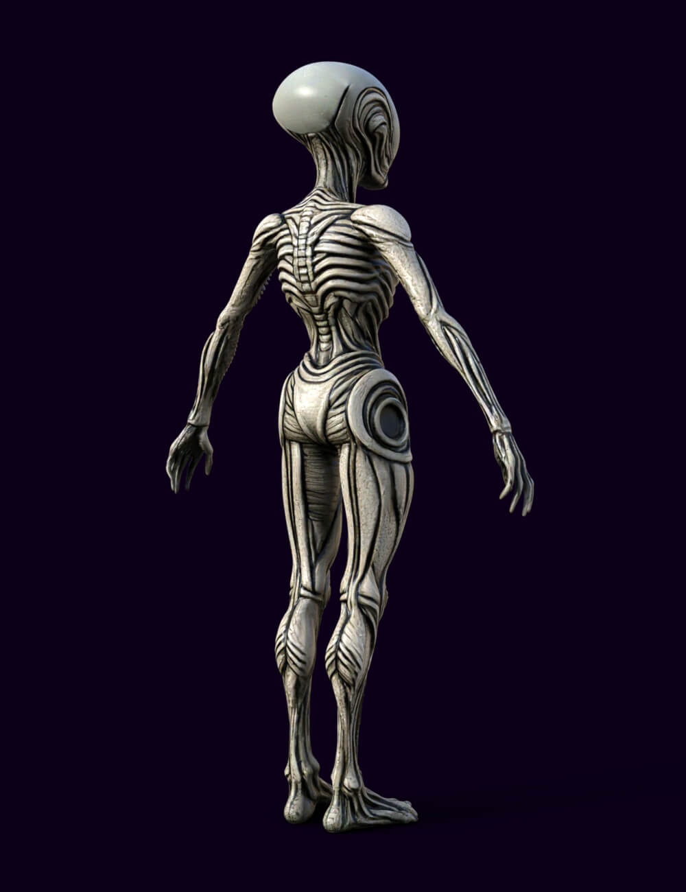 Xenovel the Alien 3D Model