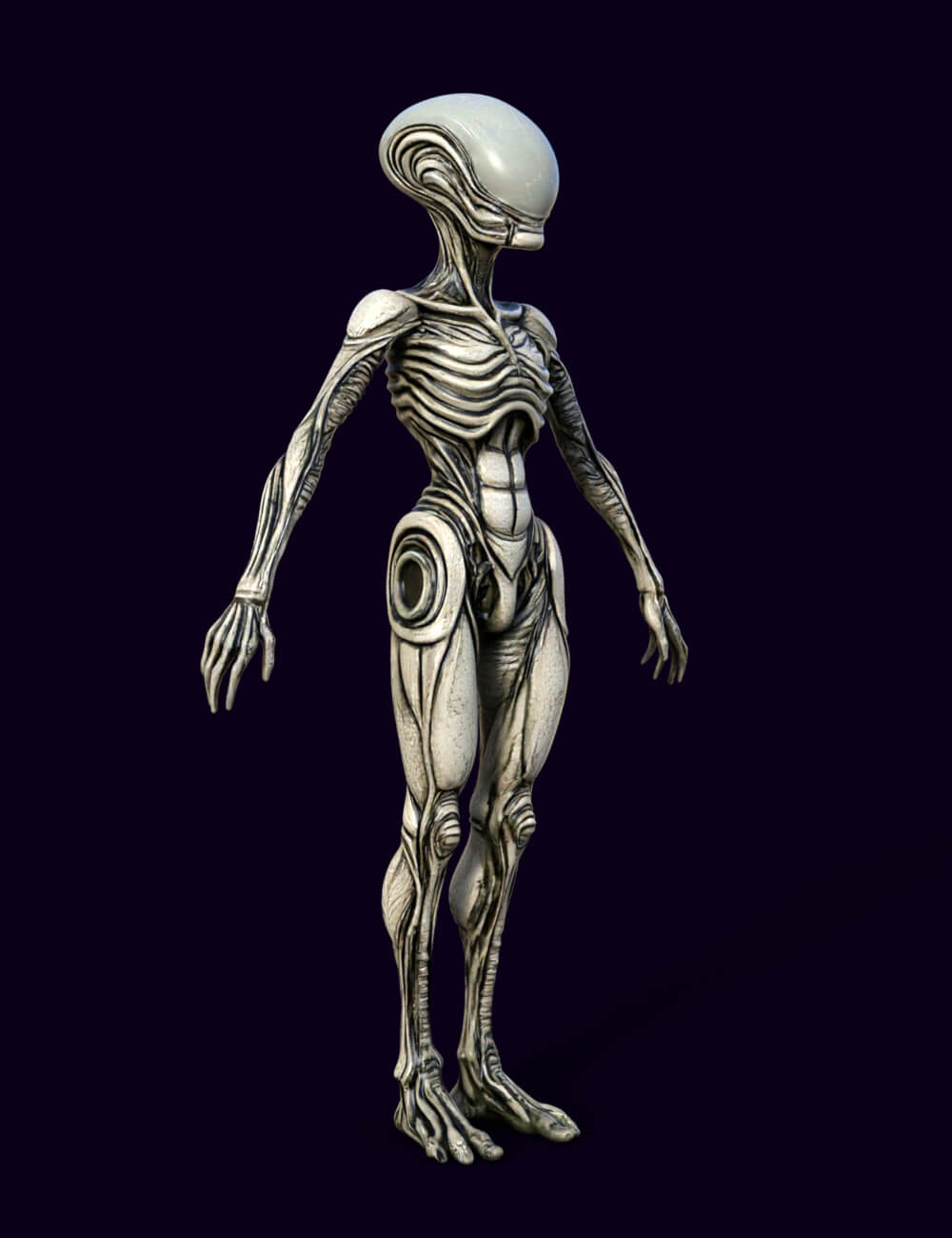Xenovel the Alien 3D Model