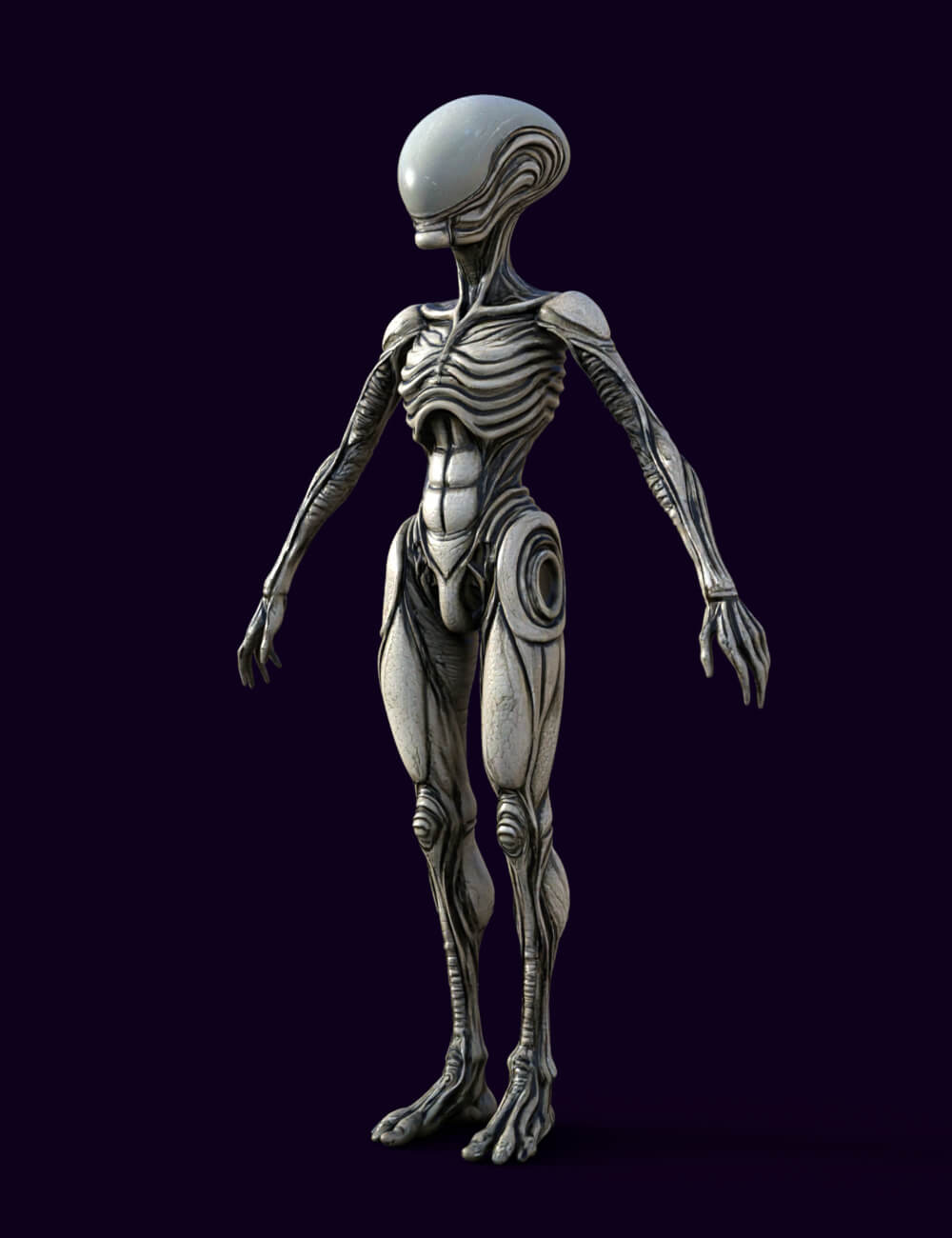 Xenovel the Alien 3D Model