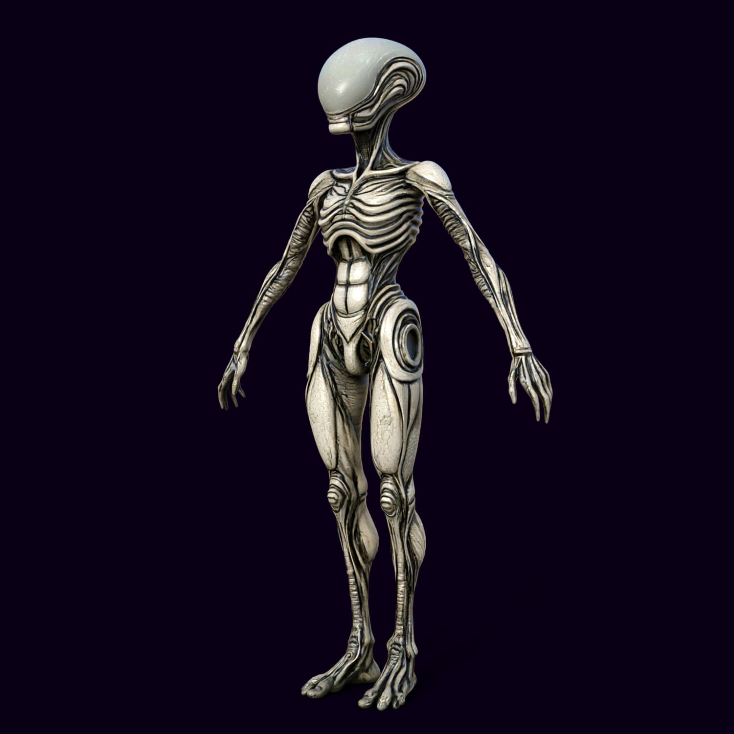 Xenovel the Alien 3D Model