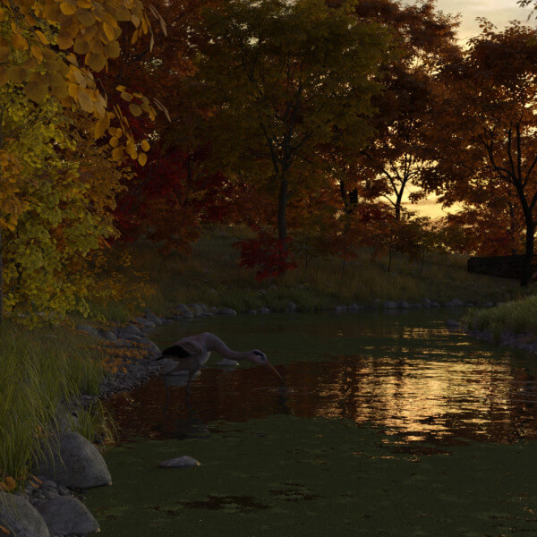 Bend in the Creek