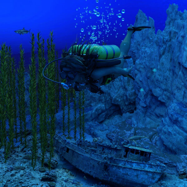 Diving the Wreck