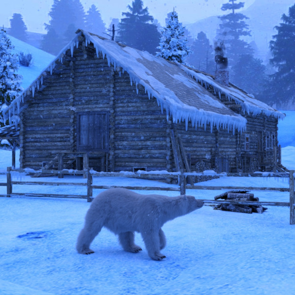 The Visitor