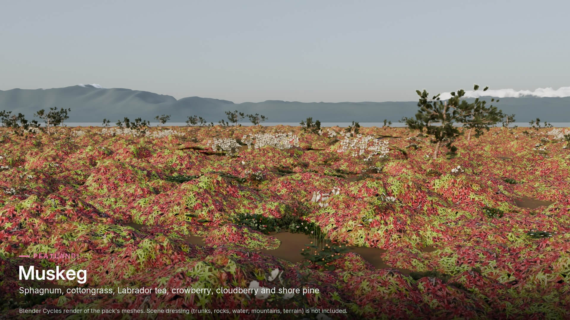 Alaska Foliage Pack 3D Model