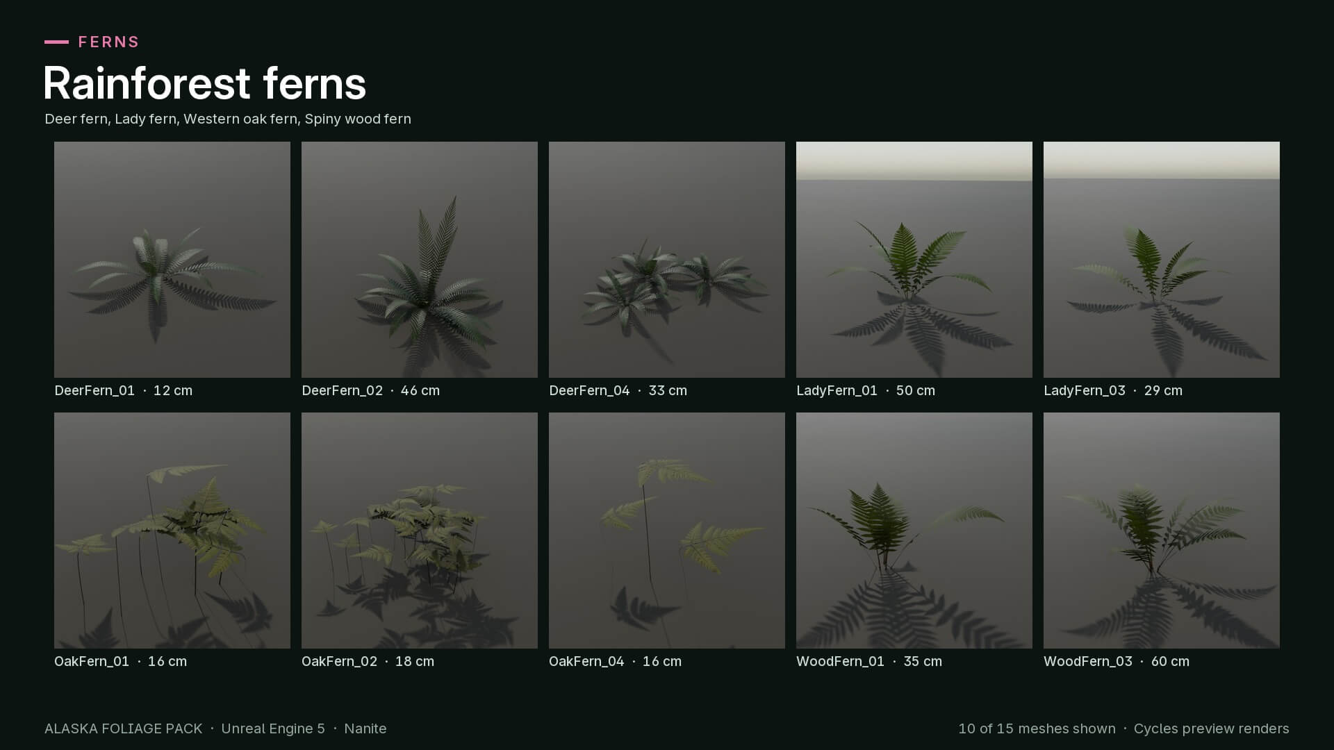 Alaska Foliage Pack 3D Model