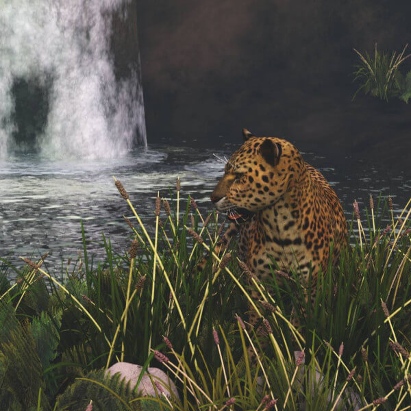Watering Hole