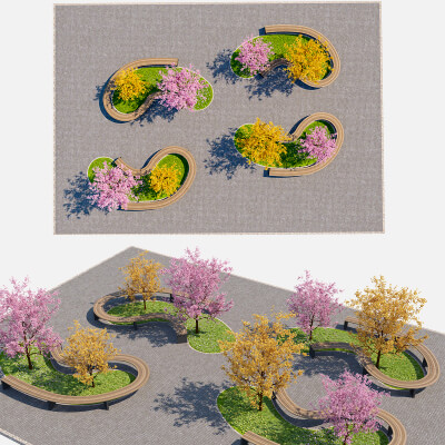 Cherry Blossom and Autumn Park Environment